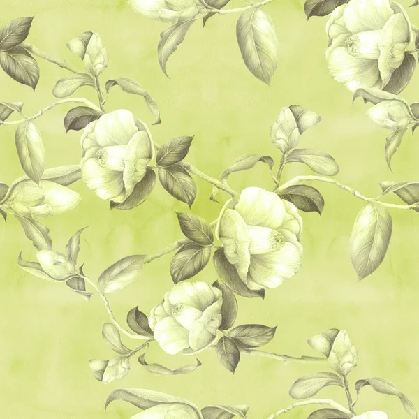 Camélia - flores, botões e folhas - sobre um fundo aquarela. Colagem de flores, folhas e botões sobre um fundo aquarela . — Fotografia de Stock