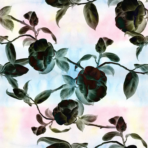 Camélia - flores, botões e folhas - sobre um fundo aquarela. Colagem de flores, folhas e botões sobre um fundo aquarela . — Fotografia de Stock
