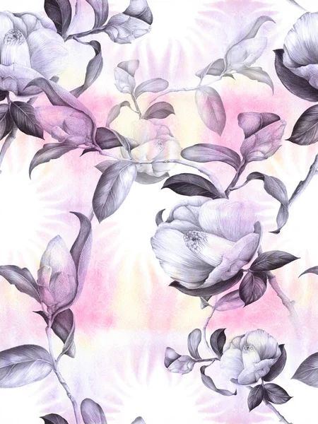 Kamelie Blumen Knospen Und Blätter Auf Aquarelliertem Hintergrund Collage Aus — Stockfoto