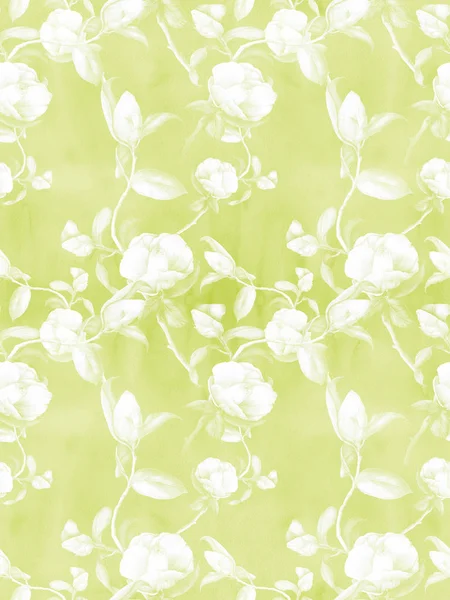 Kamelie Blumen Knospen Und Blätter Auf Aquarelliertem Hintergrund Collage Aus — Stockfoto