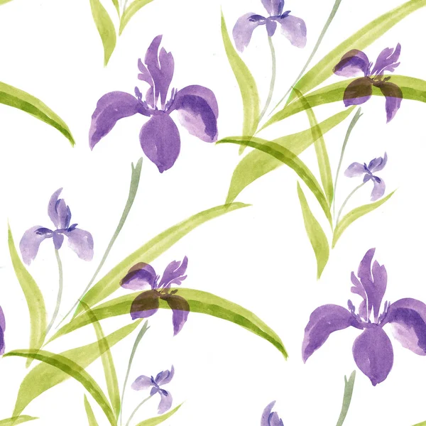 Las flores del iris - la acuarela sobre el fondo blanco. Patrón sin costuras. Acuarela pintura Fondo de pantalla . —  Fotos de Stock