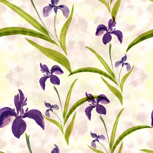 Los iris de flores - la acuarela. Composición decorativa sobre fondo acuarela. Patrón sin costura . —  Fotos de Stock