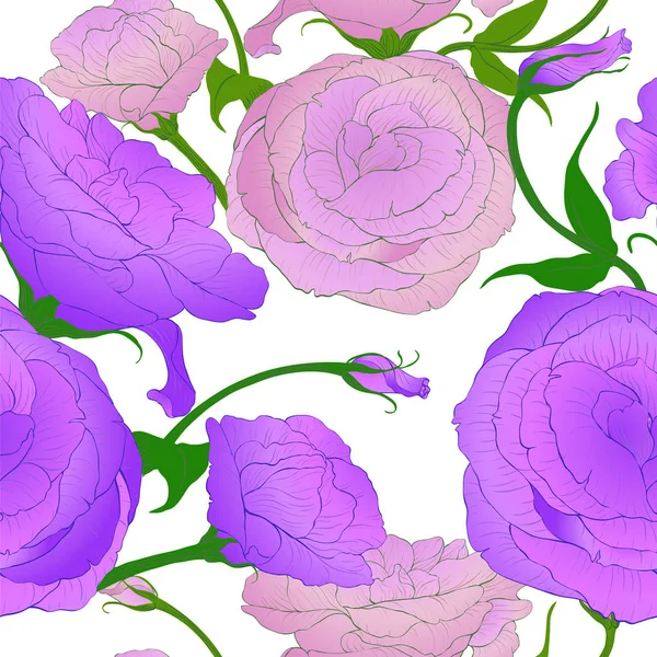 Le dessin vectoriel. Eustoma - fleurs et bourgeons. Modèle sans couture . — Image vectorielle