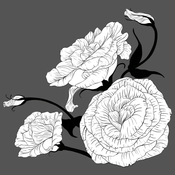 Wektor Rysunek Eustoma Kwiaty Pąki Dekoracyjnych Kompozycji Bukiet Kwiatów Tapeta — Wektor stockowy