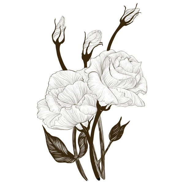 Desenho Vetorial Eustoma Flores Botões Composição Decorativa Buquê Flores Papel — Vetor de Stock