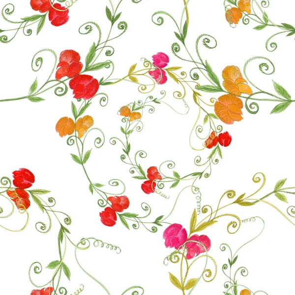 Branch with flowers and leaves of sweet pea.Seamless pattern. Watercolor. Collage of flowers, leaves and buds on a white  background. — Stock Photo, Image