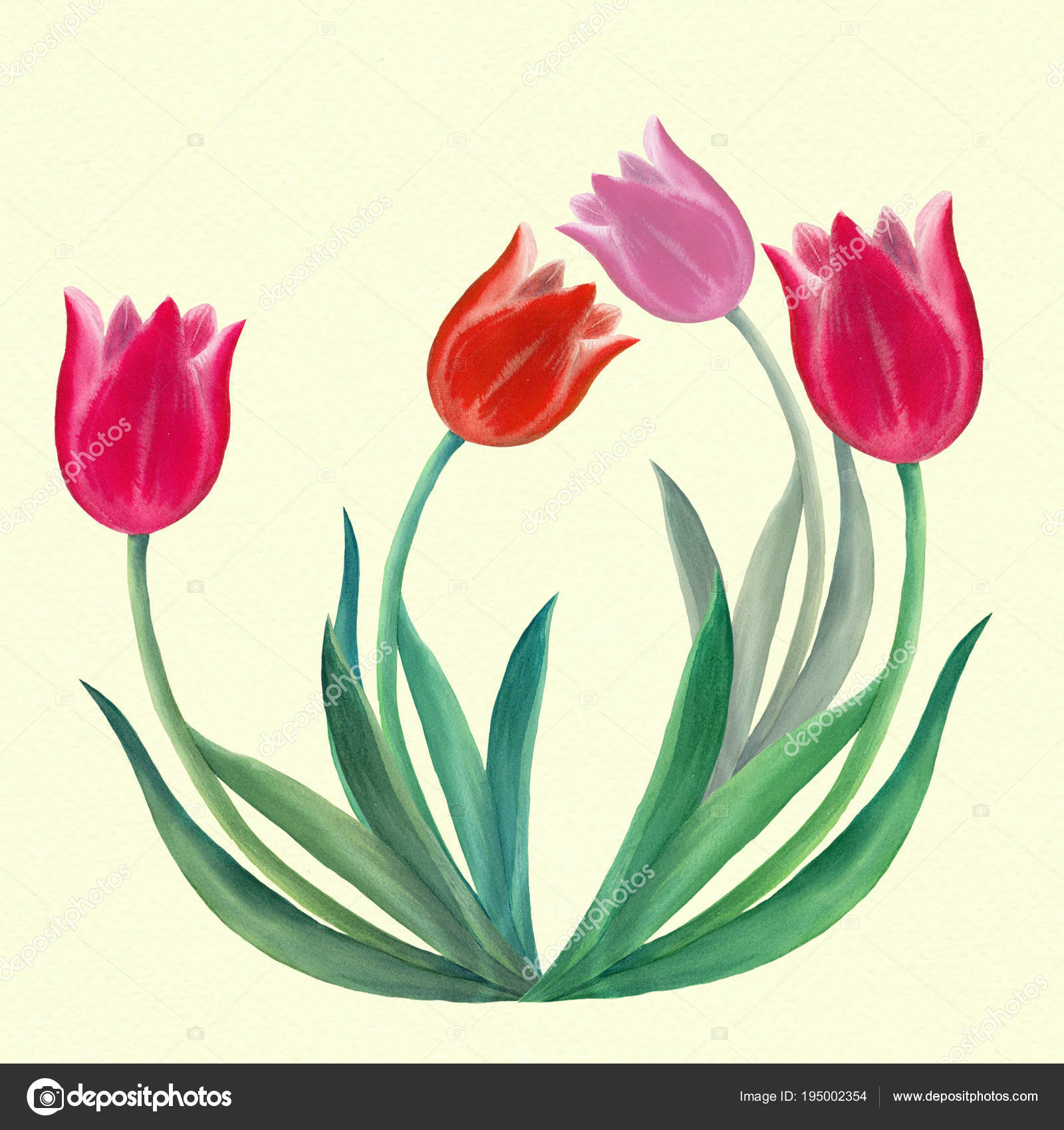 Tulipany Rysunek Wiosenne Kwiaty Użyj Materiałów