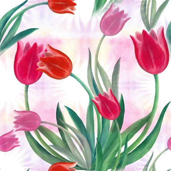 Tulipani - disegno sullo sfondo di acquerello. Fiori primaverili. Modello senza cuciture — Foto Stock