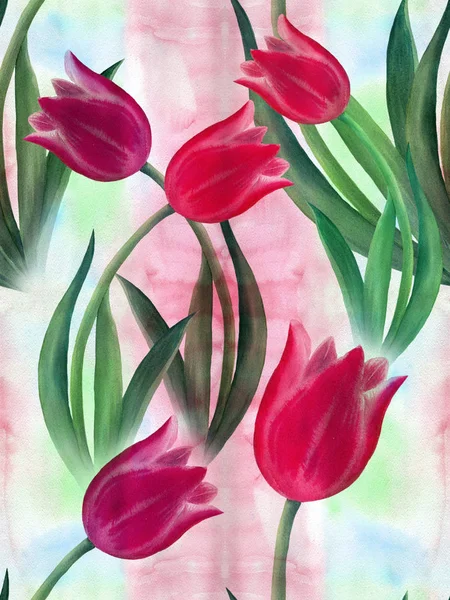 Tulpen - tekening op de achtergrond van de aquarel. Lente bloemen. Naadloze patroon — Stockfoto