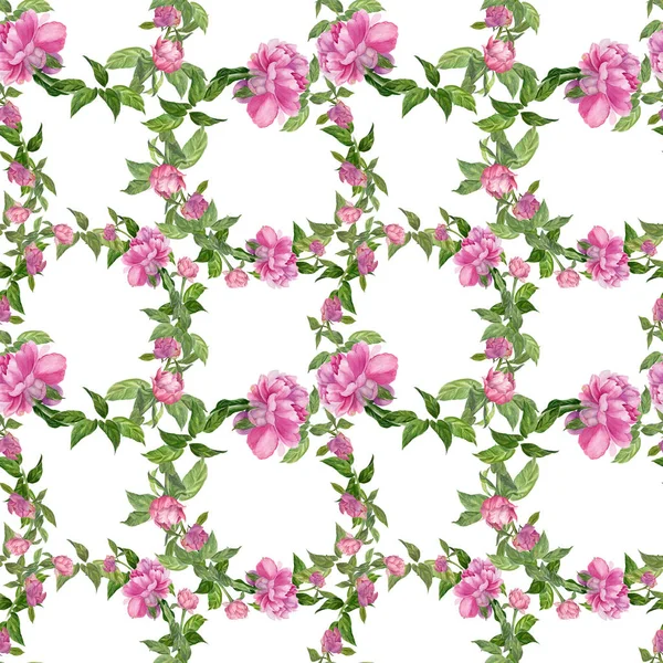 Peonies Flowers Leaves White Background Watercolor Painting Seamless Pattern Use — Stock Photo, Image