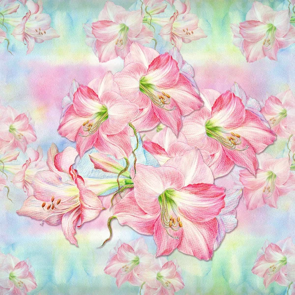 Des Fleurs Amaryllis Branche Avec Fleurs Bourgeons Dessin Crayon Spring — Photo