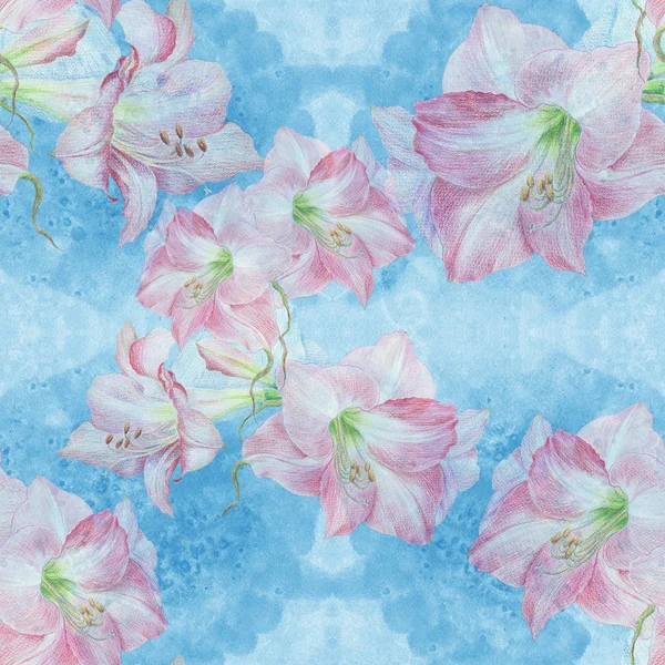 Fiori Amarillide Ramo Con Fiori Boccioli Disegno Pastello Fiore Primavera — Foto Stock