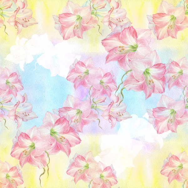 Amaryllis花 花蕾丛生的分枝 蜡笔画 无缝图案 使用印刷品 明信片 包装材料 — 图库照片