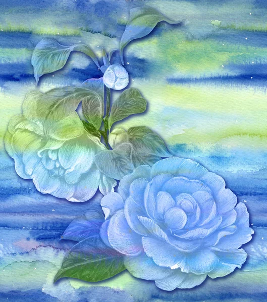 Camellia Bloemen Knoppen Laat Een Aquarel Achtergrond Collage Van Bloemen — Stockfoto