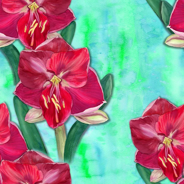 Amaryllis Flowers Branch Flowers Buds Watercolor Spring Flower Seamless Pattern — 스톡 사진