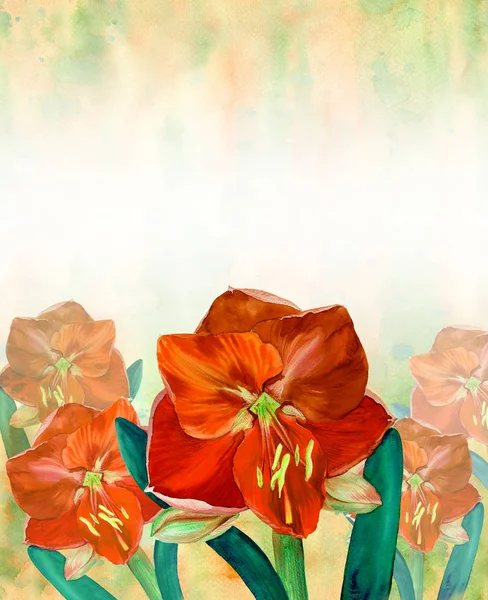Amaryllisbloemen Tak Met Bloemen Knoppen Aquarel Voorjaarsbloem Gebruik Bedrukte Materialen — Stockfoto