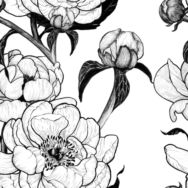 Peonies - flowers and leaves on a white background. Ink. Seamless patterns. Use printed materials, signboards, posters, postcards, packaging.