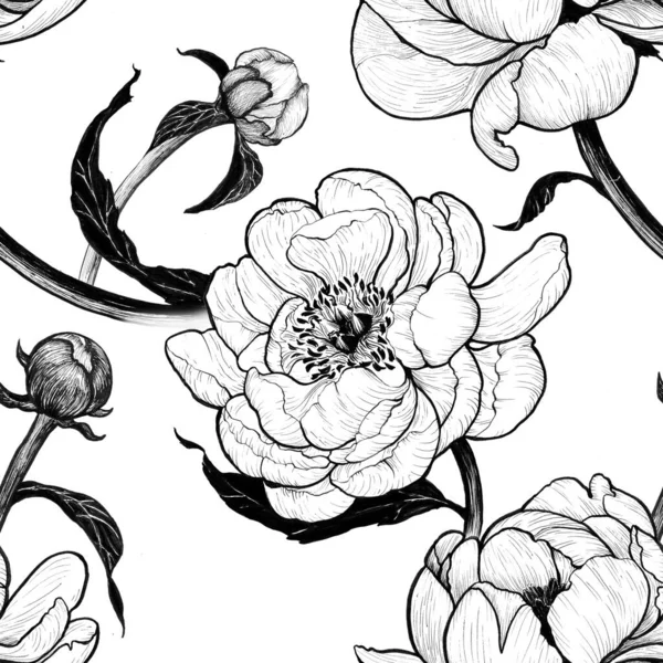 Pioenrozen Bloemen Bladeren Een Witte Achtergrond Inkt Naadloze Patronen Gebruik — Stockfoto