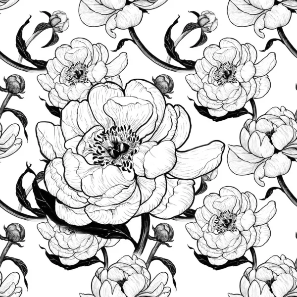 Peonies Flowers Leaves White Background Ink Seamless Patterns Use Printed — Stock Photo, Image