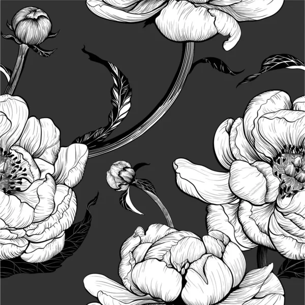 Vector Drawing Peony Flowers Buds Leaves Dark Background Seamless Pattern — Stock Vector