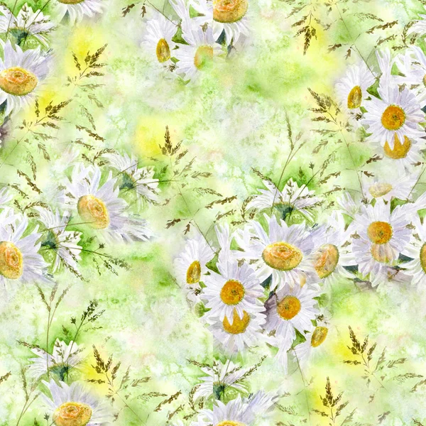 Μαργαρίτες Λουλούδια Και Φύλλα Απρόσκοπτο Μοτίβο Εικονογράφηση Υδατογραφίας Διακοσμητική Σύνθεση — Φωτογραφία Αρχείου