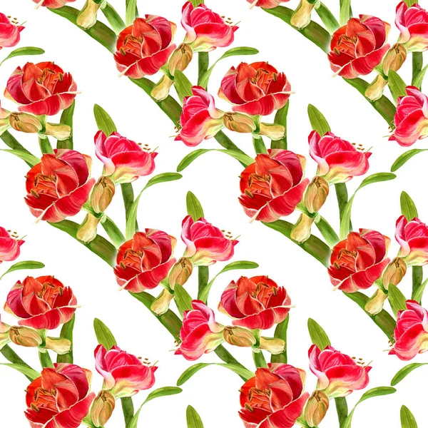 Λουλούδια Αμαρυλλίς Κλάδος Λουλούδια Και Μπουμπούκια Υδατογραφία Απρόσκοπτη Μοτίβο Κολάζ — Φωτογραφία Αρχείου