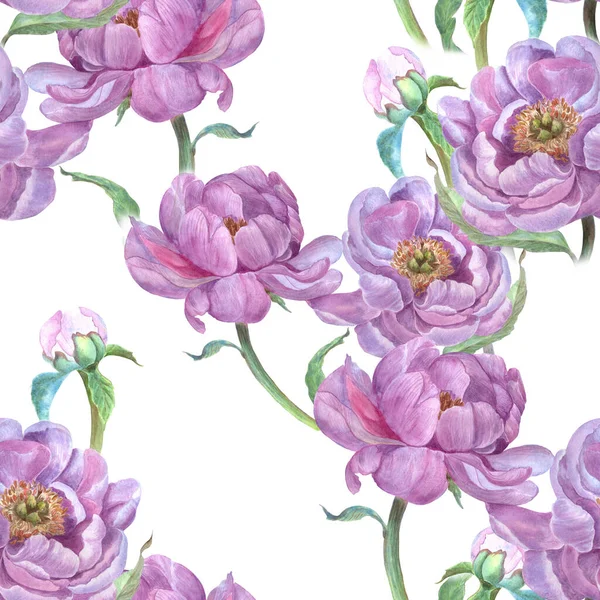 Květiny Pivoňky Pozadí Akvarelu Bezproblémový Vzorec Akvarel Koláž Květin Listí — Stock fotografie