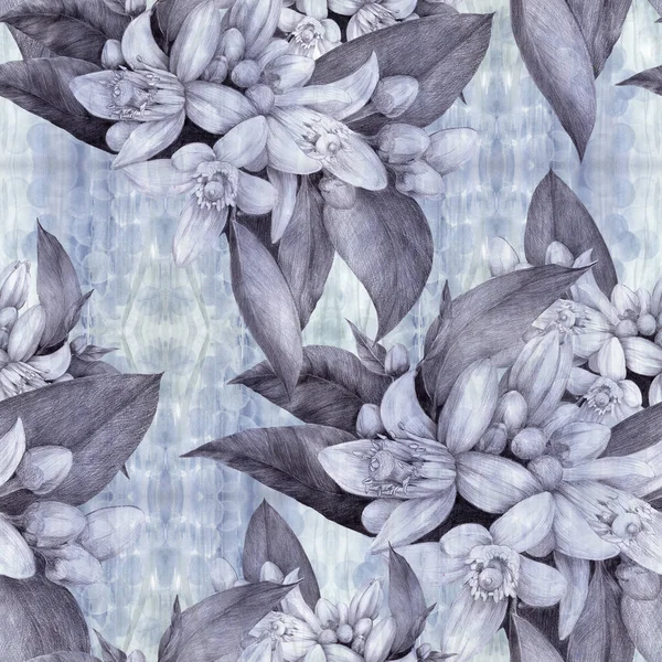 베르가모트 꽃피는 꽃봉오리 잎으로 가지를 그래픽 식물의 장식적 구성이다 매끄럽지 — 스톡 사진