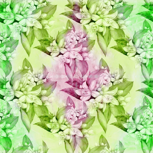 베르가모트 꽃피는 꽃봉오리 잎으로 가지를 그래픽 식물의 장식적 구성이다 매끄럽지 — 스톡 사진