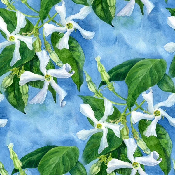 Jasmijn Bloemen Met Bladeren Knoppen Aquarel Naadloos Patroon Trachelospermum Jasminoides — Stockfoto