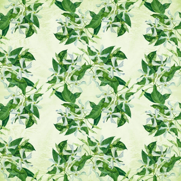 Жасминовые Цветы Листьями Бутонами Акварелью Бесшовный Рисунок Trachelospermum Jasminoides Использовать — стоковое фото