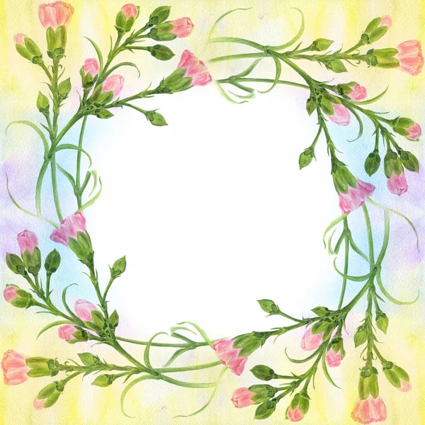 康乃馨花在水彩画的背景上 有芽和叶子的分枝 植物水彩画 使用印刷品 明信片 — 图库照片