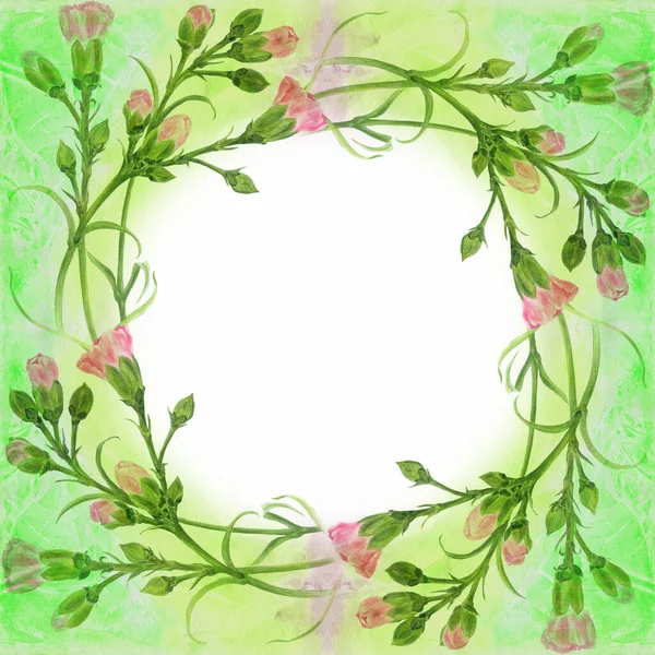 康乃馨花在水彩画的背景上 有芽和叶子的分枝 植物水彩画 使用印刷品 明信片 — 图库照片