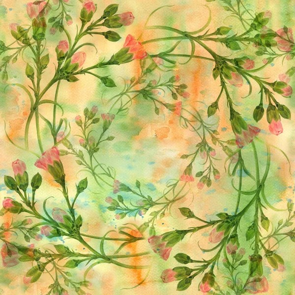 康乃馨花在水彩画的背景上 没有缝隙的背景有芽和叶子的分枝 植物水彩画 使用印刷品 明信片 — 图库照片