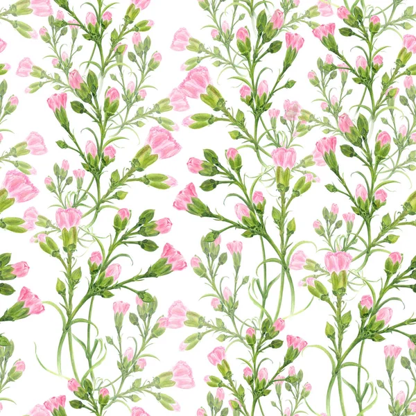 Квіти Гвоздики Білому Тлі Безшовний Фон Гілки Бруньками Листям Ботанічний — стокове фото
