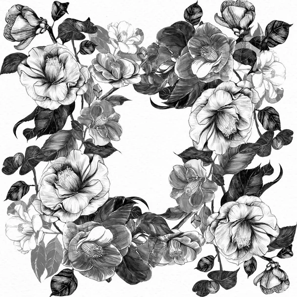 Collage Fiori Sfondo Bianco Fiori Esotici Camelia Fiori Foglie Disegno — Foto Stock