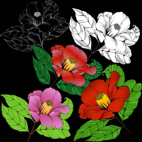 Fiore Camelia Illustrazione Vettoriale Profumeria Piante Cosmetiche Carta Parati Utilizzare — Vettoriale Stock