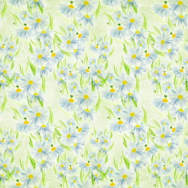 Daisies Flowers Leaves Seamless Pattern Watercolor Illustration Decorative Composition Use — Stock Photo, Image