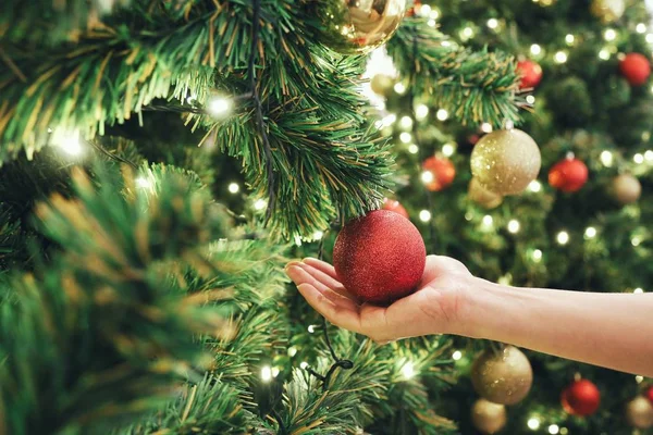 Portre resim görüntü arka plan üzerinde kırmızı parlak parlak baubles ile Noel ağacı süsleme el. Kavramı ve Noel tatilleri kutlama fikri