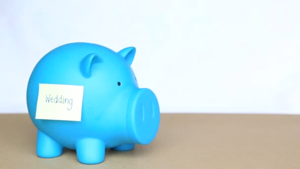 Insert Coins Blue Piggy Bank Sticky Note Wedding Word Concept — Stock Video