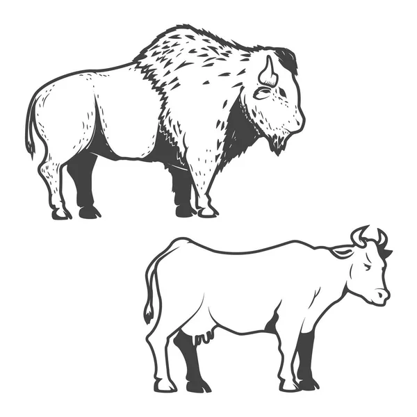 Ikonen von Kuh und Büffel isoliert auf weißem Hintergrund. Bizon. — Stockvektor