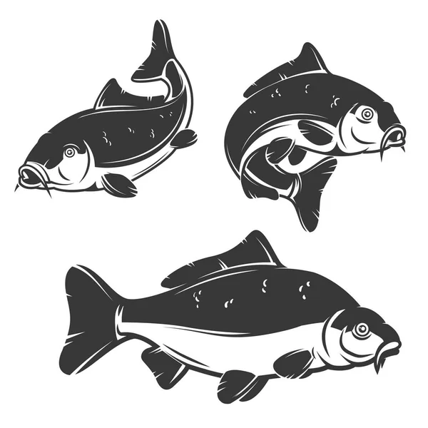 Conjunto de iconos de peces carpa aislados sobre fondo blanco . — Vector de stock