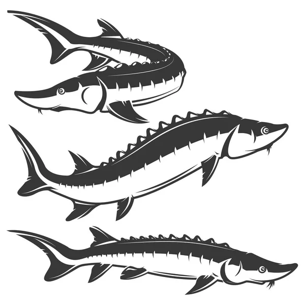 Beyaz arka plan üzerinde izole mersin balığı simgeler kümesi.