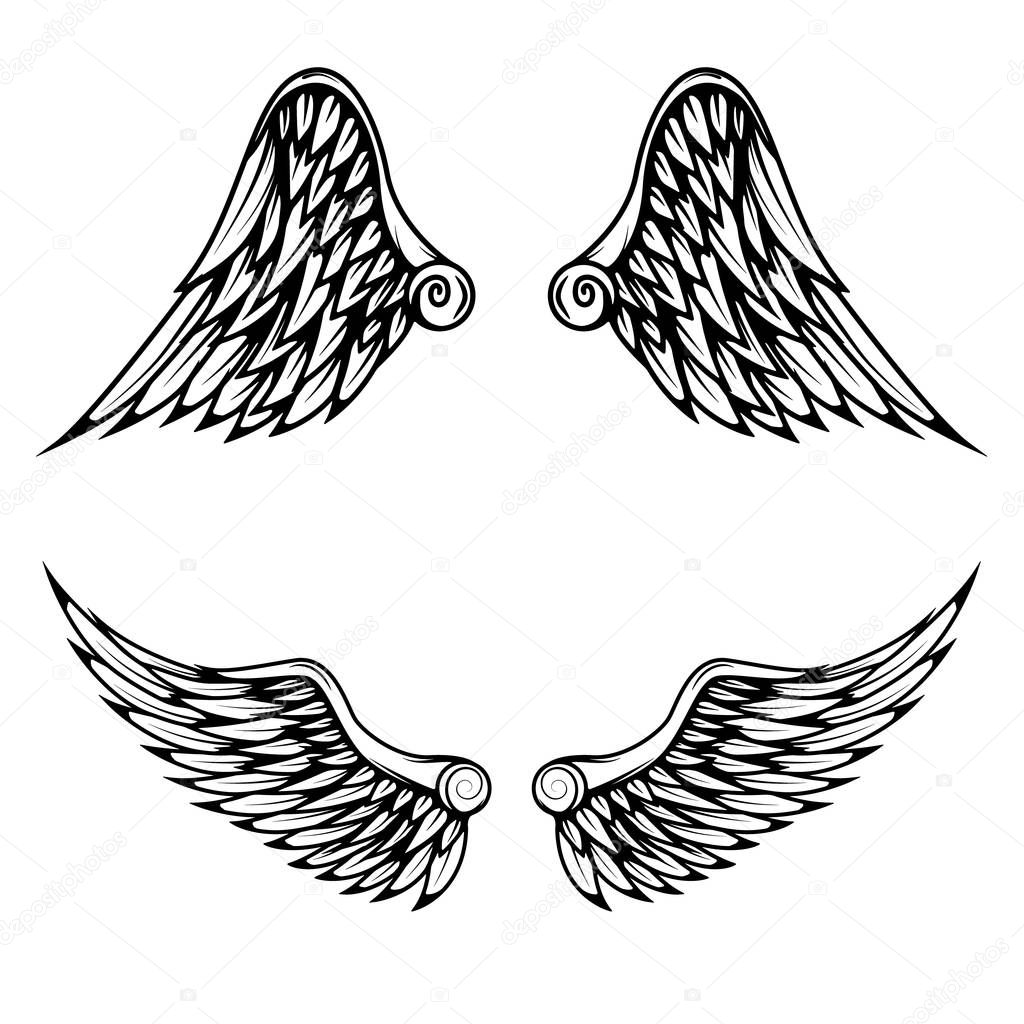 Vintage wings isolated on white background.