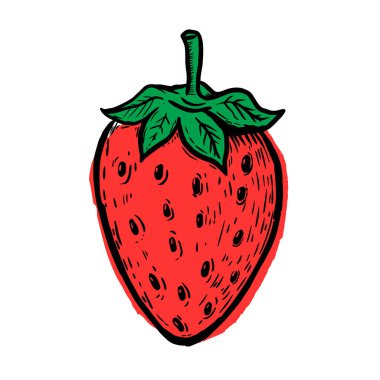 Elle çizilmiş çilek beyaz arka plan üzerinde izole. Tasarım eleme