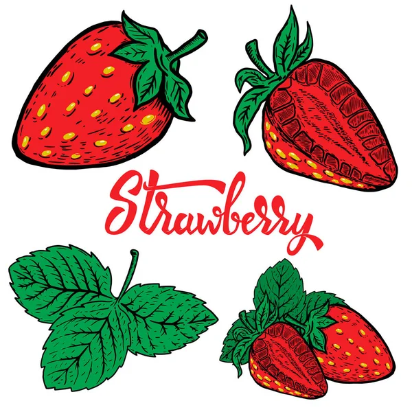 Handgezeichnete Erdbeere. Designelemente für Logo, Etikett, E — Stockvektor