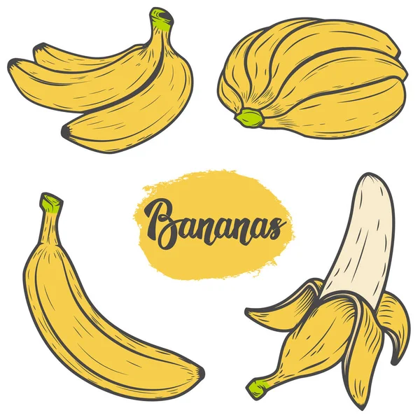 Zestaw kolorowe ręcznie rysowane ilustracje bananów. Elementy projektu — Wektor stockowy