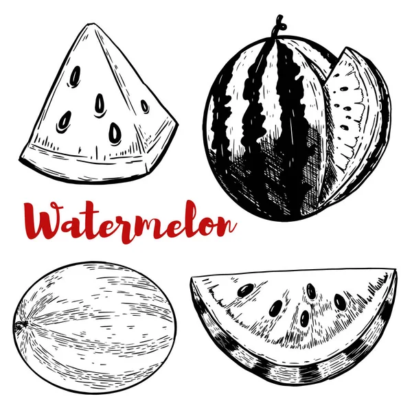 Reihe von handgezeichneten Wassermelonen-Illustrationen auf weißem Hintergrund. — Stockvektor