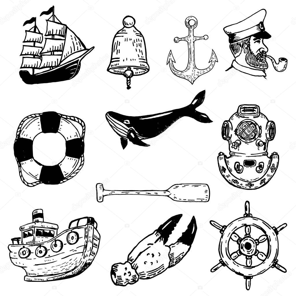 Set of hand drawn nautical vector elements. Design elements for