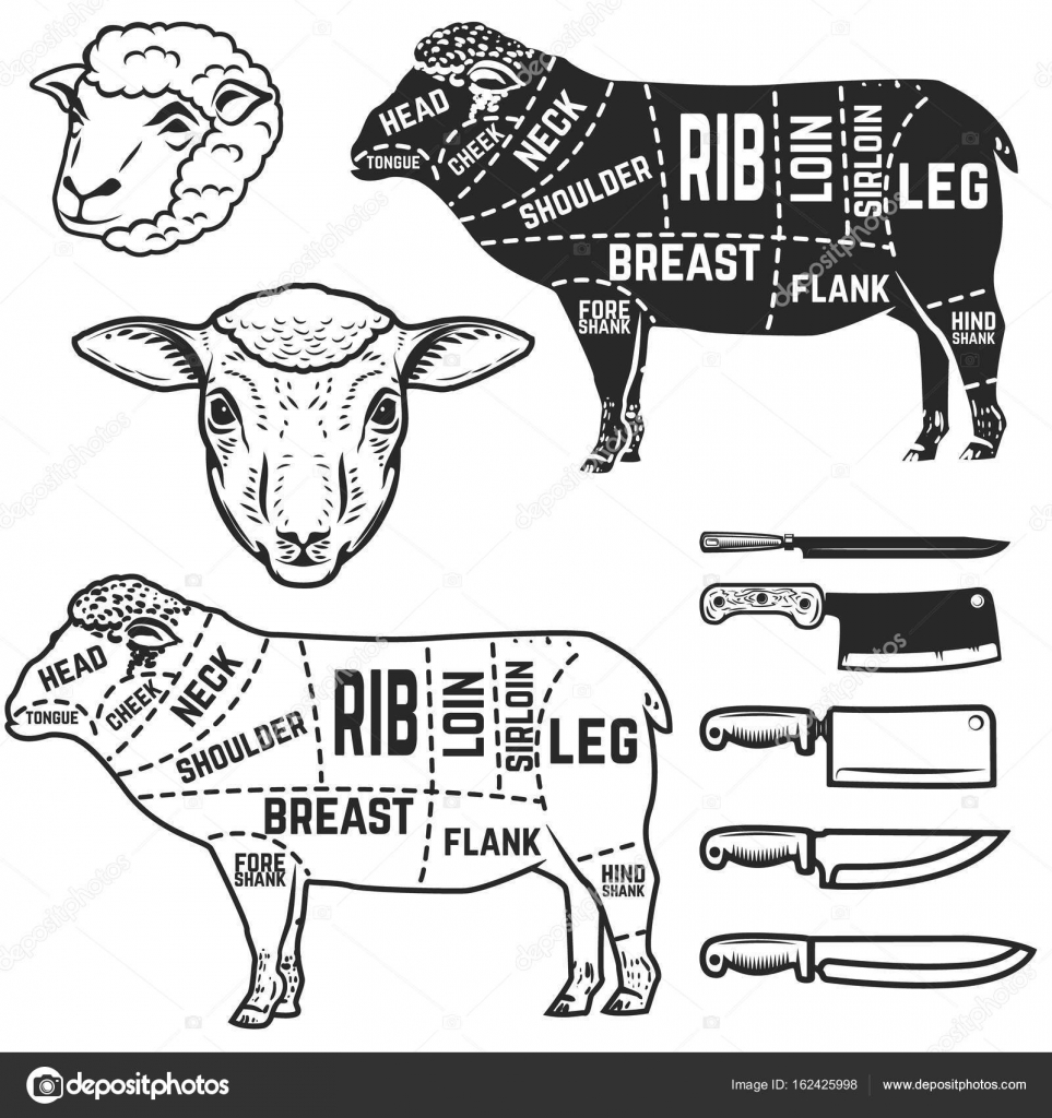 Cuts Of Lamb Chart